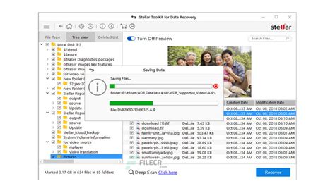 Stellar Data Recovery 11 Download For Windows 10
